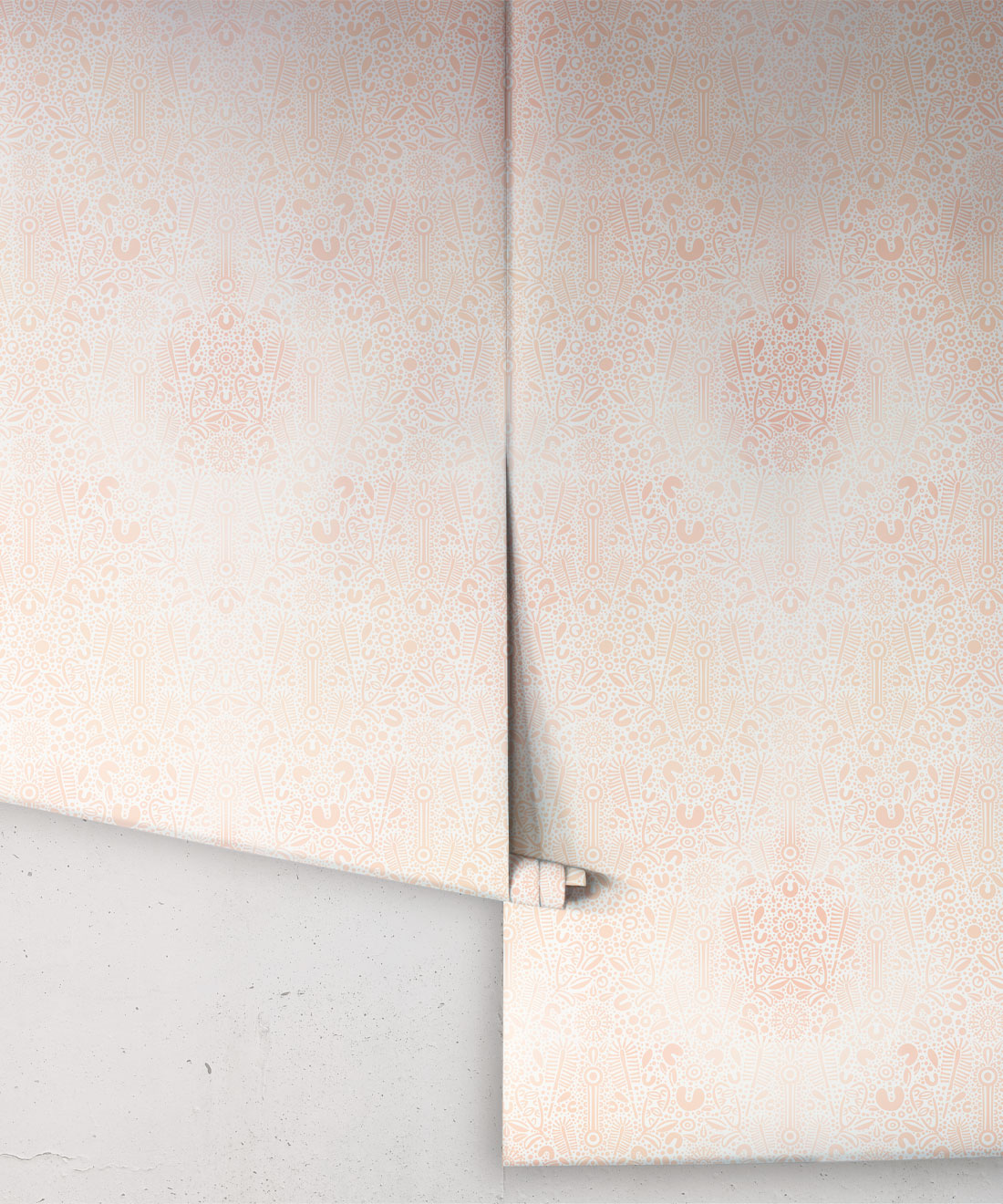 Banksia Bloom Wallpaper