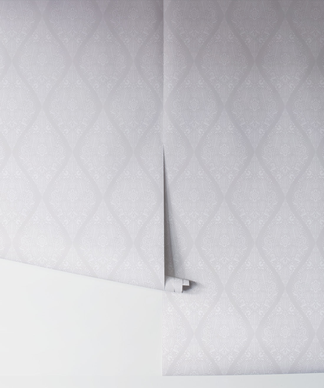 Banksia Wallpaper