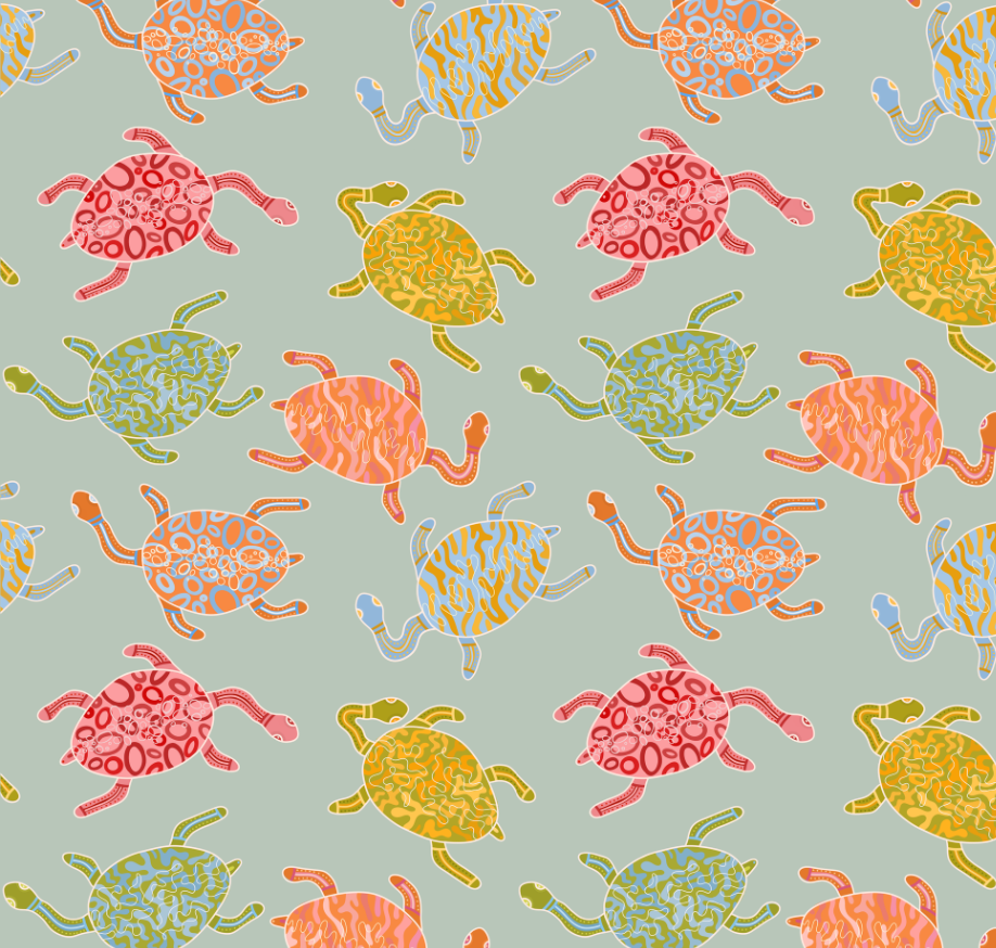 Bayadherra (Turtle)
